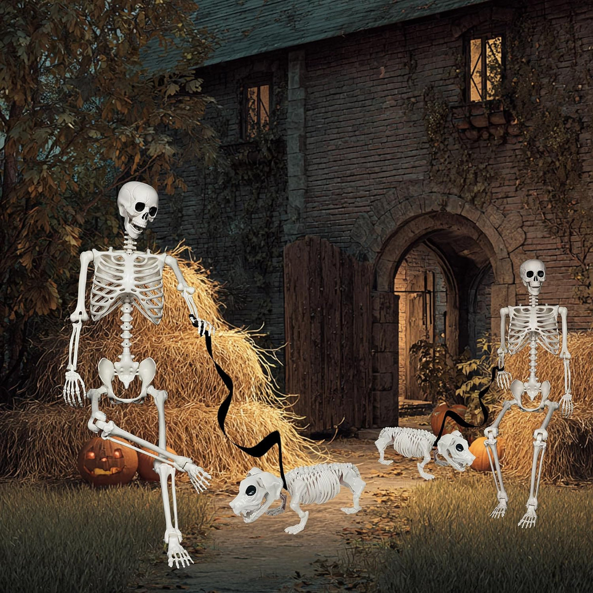 5.4FT Halloween Skeletons Decoration, Posable Life Full Size Skeleton with Dog Skeleton, Realistic Plastic Human - Set of 3