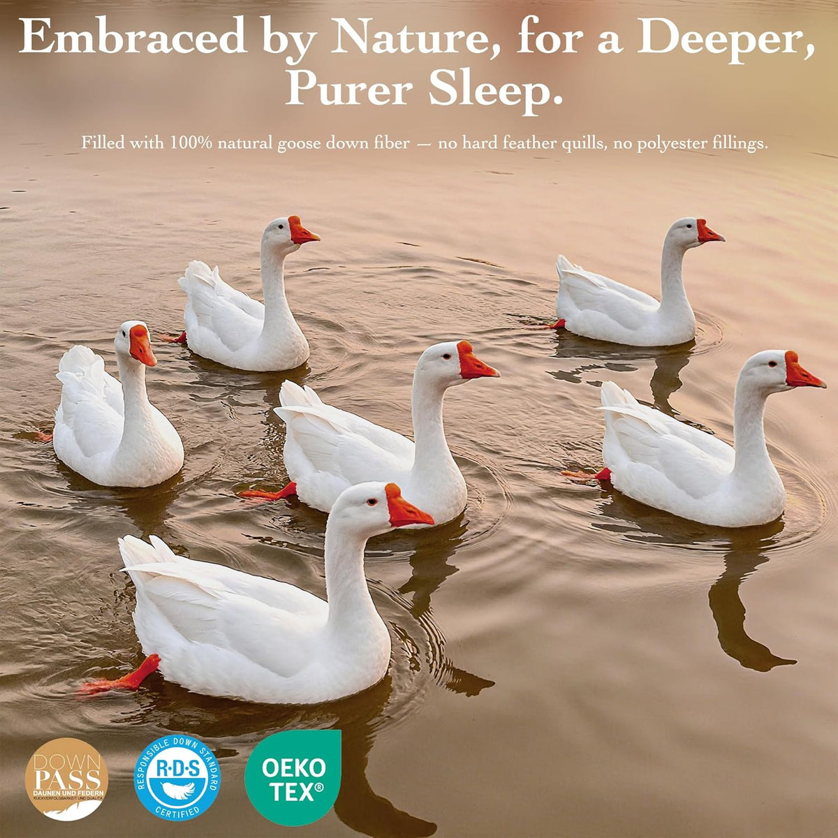 Goose Down Fiber Comforter - All Season Naturally Breathable Down Comforters
