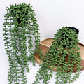 Artificial Hanging Plants for Shelf, 2-Pack Fake Potted Greenery Faux String of Pearls in Black Pot, Décor Living