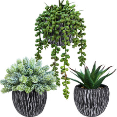 Set of 3 Artificial Succulent Plants in Black Pots Fake Hops Aloe String of Pearls Potted Plants Small Faux Plants