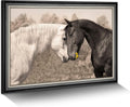 Country Horse Canvas Wall Art: Black Framed Couple Horses Office Painting White Elegant Steeds Portrait Prints Farm
