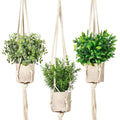 Artificial Plants 3Pack Mini Faux Hanging Plants with Macrame Plant Hangers