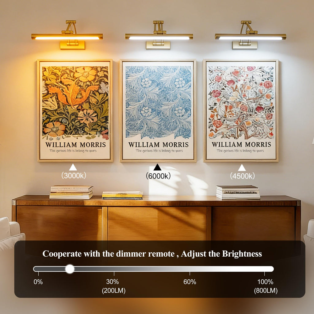 Picture Lights for Wall Battery Operated, 24in Rechargeable Wireless Art Light for Paintings with Remote, Dimmable