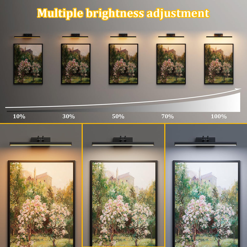 Picture Light for Wall, RF Remote, USB Charging, Black