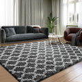 5x7 High Pile Shag Area Rug, Soft Plush Indoor Carpet for Living Room Bedroom Dark Grey