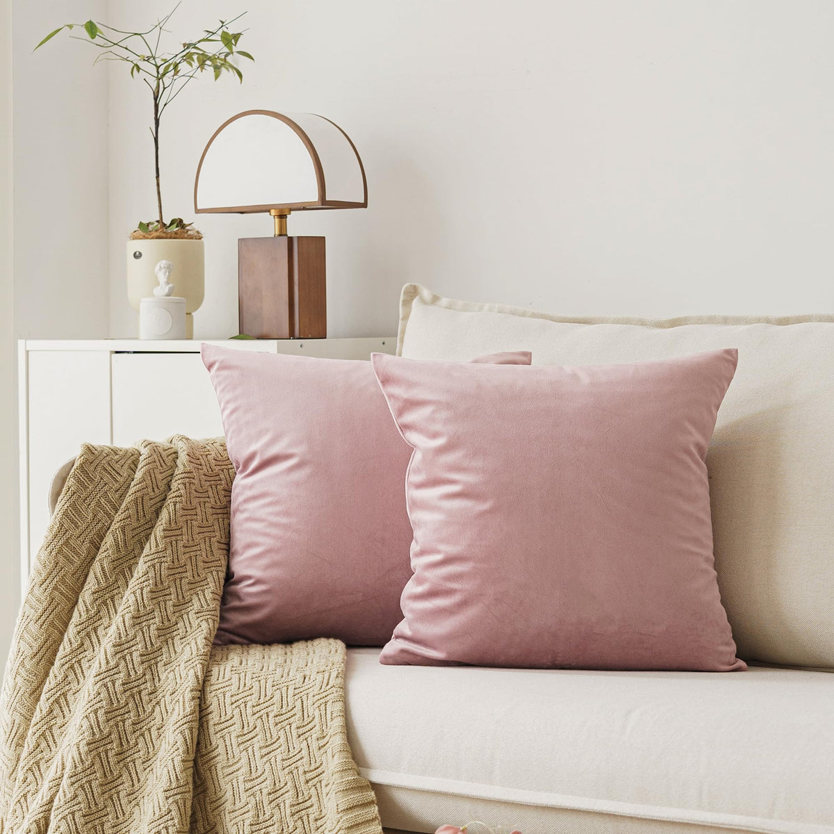 Decorative Throw Pillow Covers Pack of 2, Velvet Throw Pillow Cases for Couch Pillows Cover Bedroom Living Room