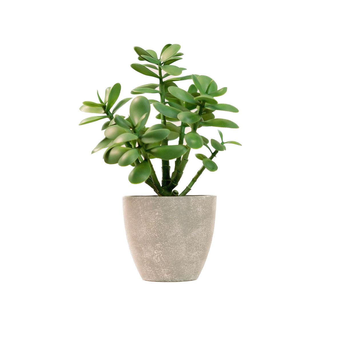 12" Artificial Jade Plant in Minimalist Gray Pot, Luxury Real-Touch Faux Succulent Crassula Ovata with Pebbles