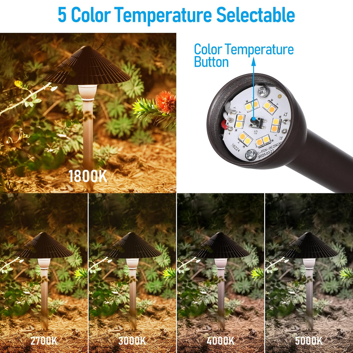 5CCT LED Low Voltage Landscape Path Lights, 12-24V AC/DC