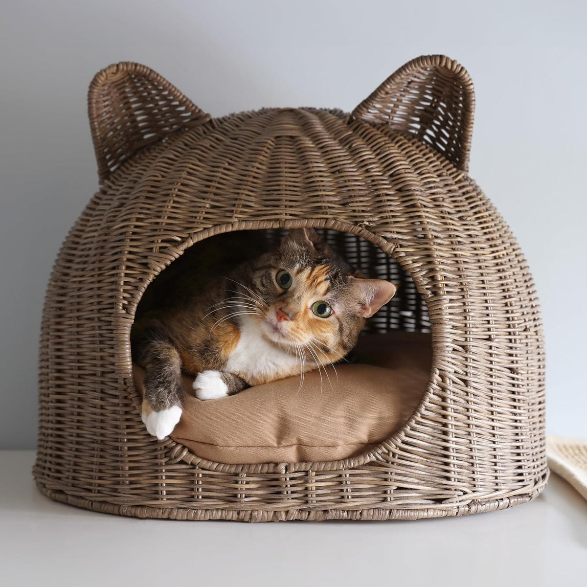Cat Ear 20" x 14.5" Coastal Handwoven Rattan Cat Bed with Machine-Washable Cushion, Natural