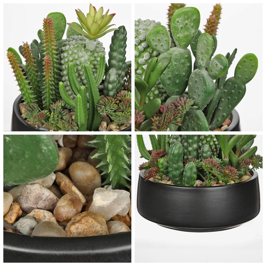Artificial Cactus Plants in Pot 5.5 Inch Fake Succulents Arrangement Potted Plant in Black Ceramic Planter Bowl Desk