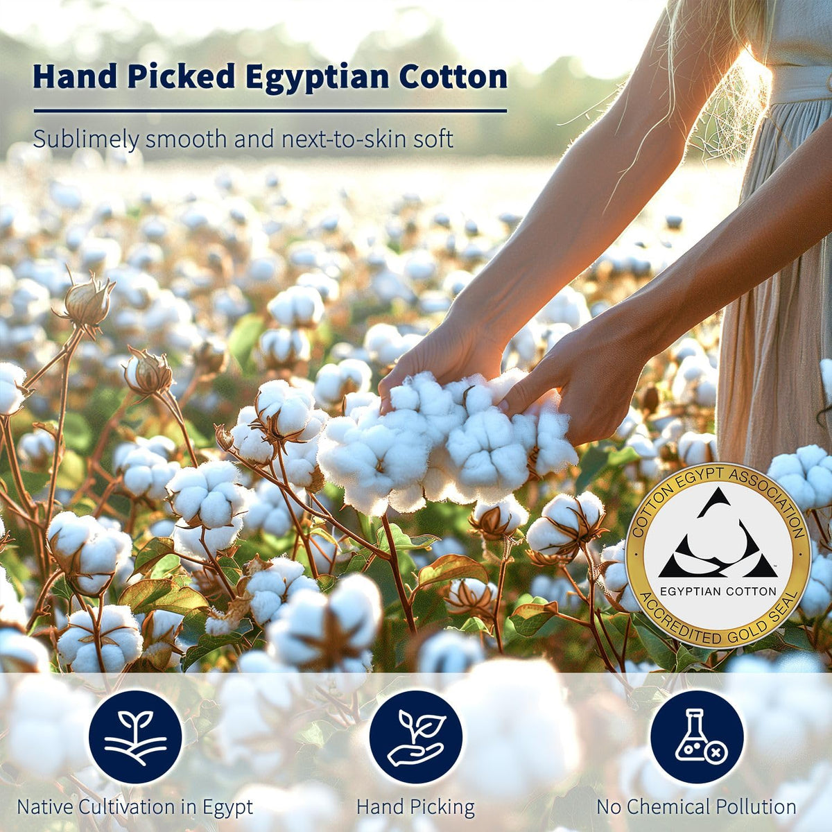 100% Egyptian Cotton Sheets Set (Linen)