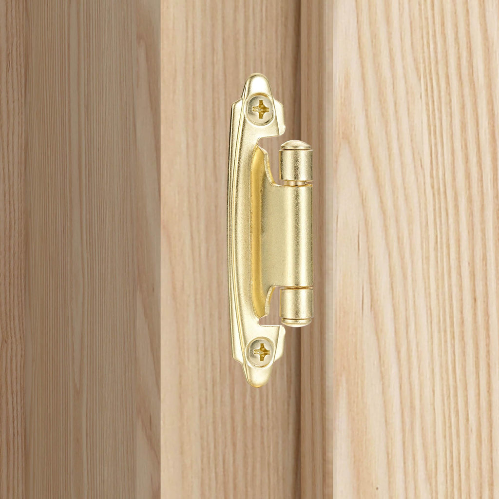 Gold Kitchen Cabinet Hinges, 3/8" Inset, 10 Pack