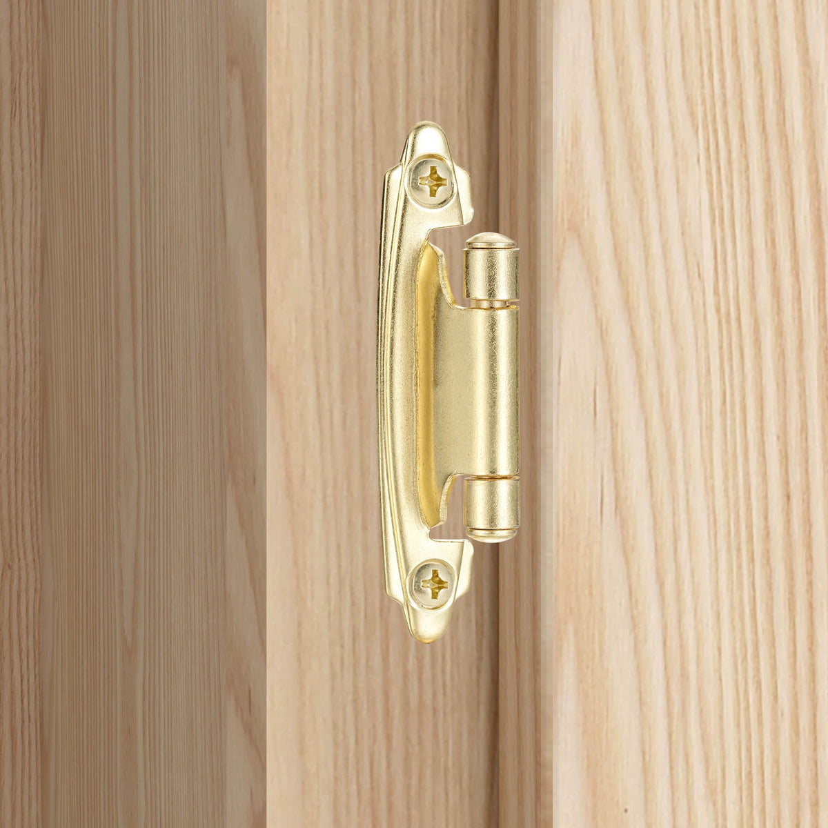 Gold Kitchen Cabinet Hinges, 3/8" Inset, 10 Pack