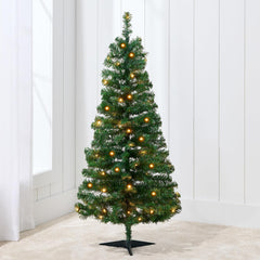 Tabletop & Potted Christmas Trees