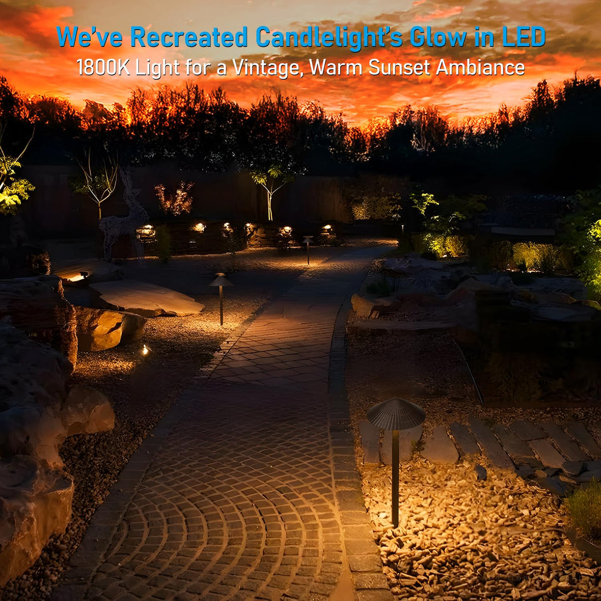 5CCT LED Low Voltage Landscape Path Lights, 12-24V AC/DC