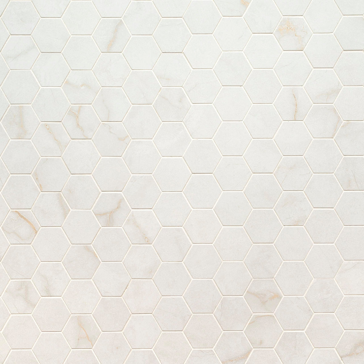 Porcelain Matte Floor & Wall Tile | Brighton Grey | 12" x 12"