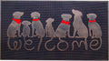 Rubber Welcome Doormat Indoor Entrance, Non-Slip Backing Front Door Mat for High Traffic Area Use, Fun Designed
