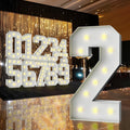 3FT Marquee Light Up Letter, Marquee Letters 3 Feet Tall