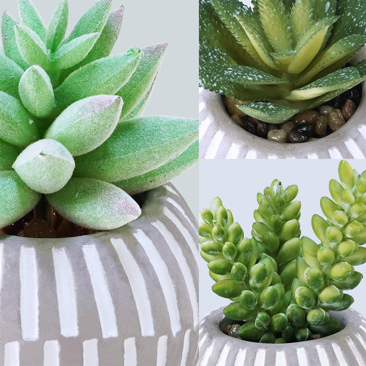 Set of 3 Artificial Succulents Plants in Mini Gray and White Geometric Cement Pots Faux Potted Plants Aloe