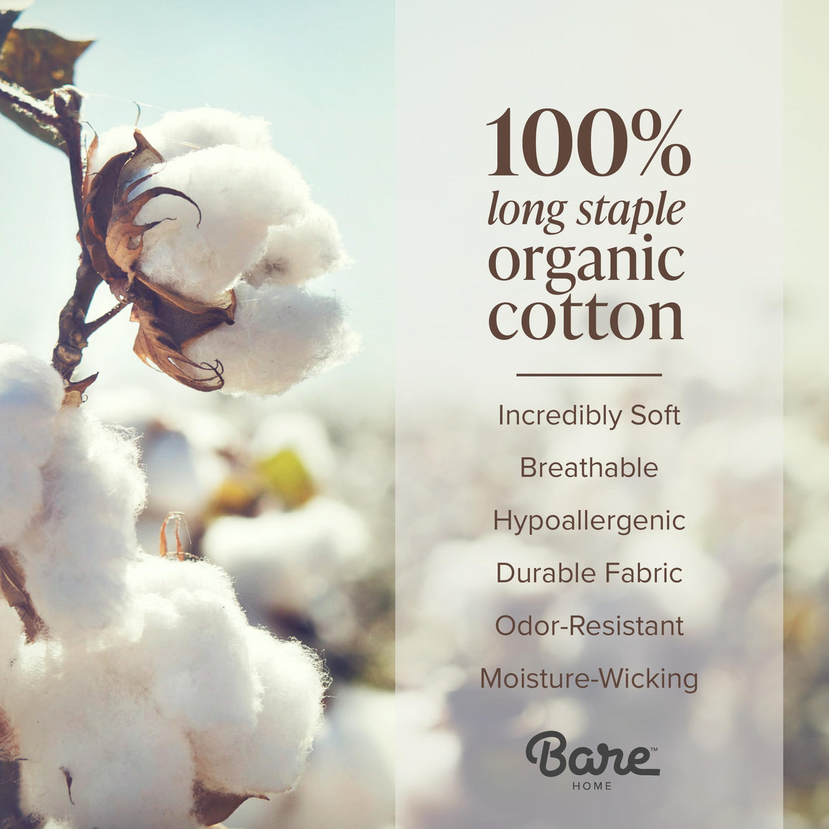 100% Organic Cotton Percale Duvet Cover Set (, White)