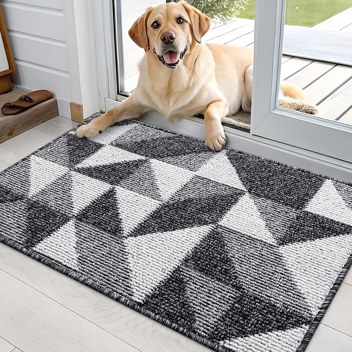 Door Mat Indoor Entrance Washable 36x24, Odor-Free Low-Profile Front Back Geometric Doormat, Absorbent Resist Dirt