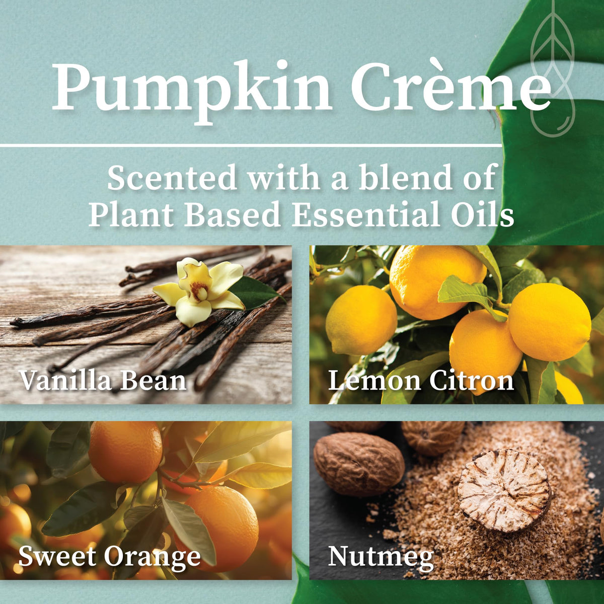 Pumpkin Crème Apothecary Crackling Wood Wick Candle | 8 oz