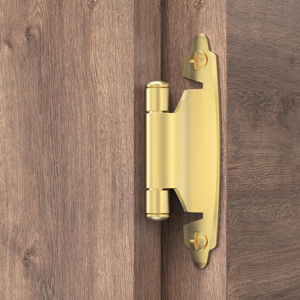 3/8 Inch Inset Cabinet Hinges, 5 Pairs(10 Pack) Self Closing Flush Face Mount Hinges with Door Bumper, Variable