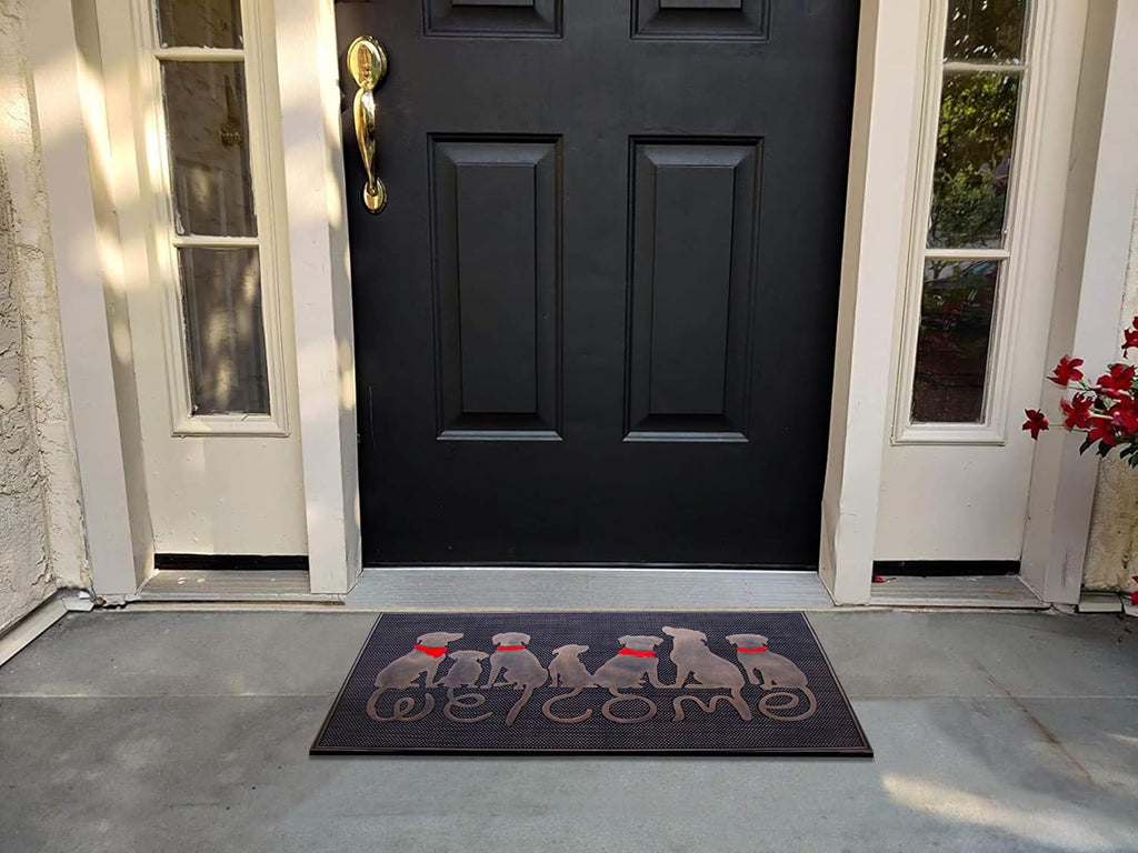 Rubber Welcome Doormat Indoor Entrance, Non-Slip Backing Front Door Mat for High Traffic Area Use, Fun Designed