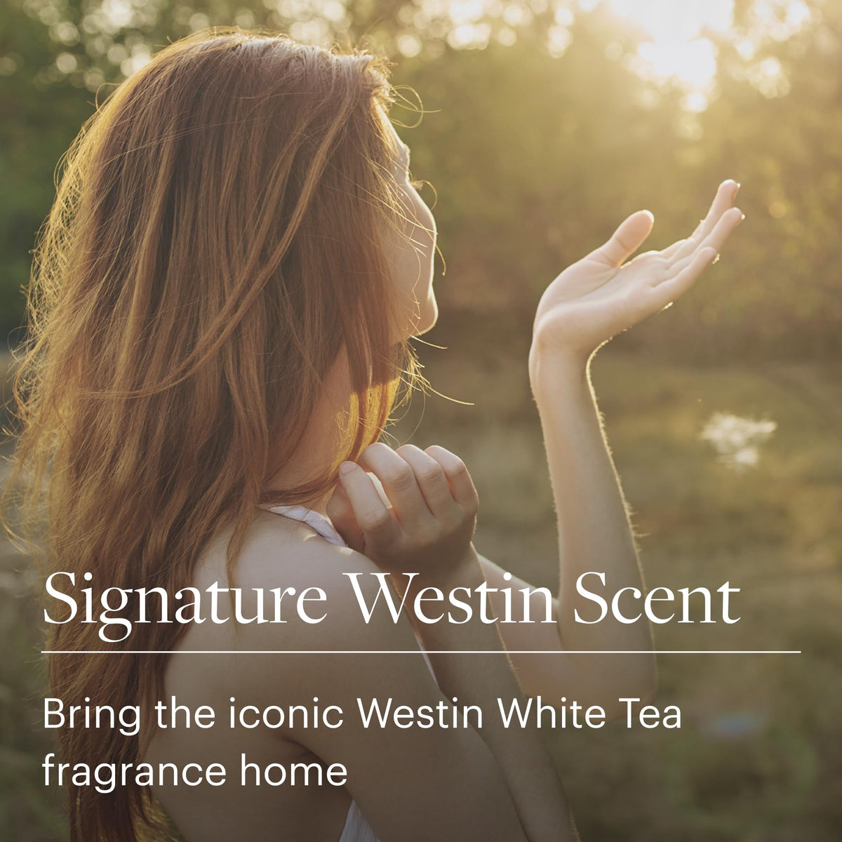 White Tea Reed Diffuser - Home Fragrance Set with Signature White Tea Scent - 5 oz.