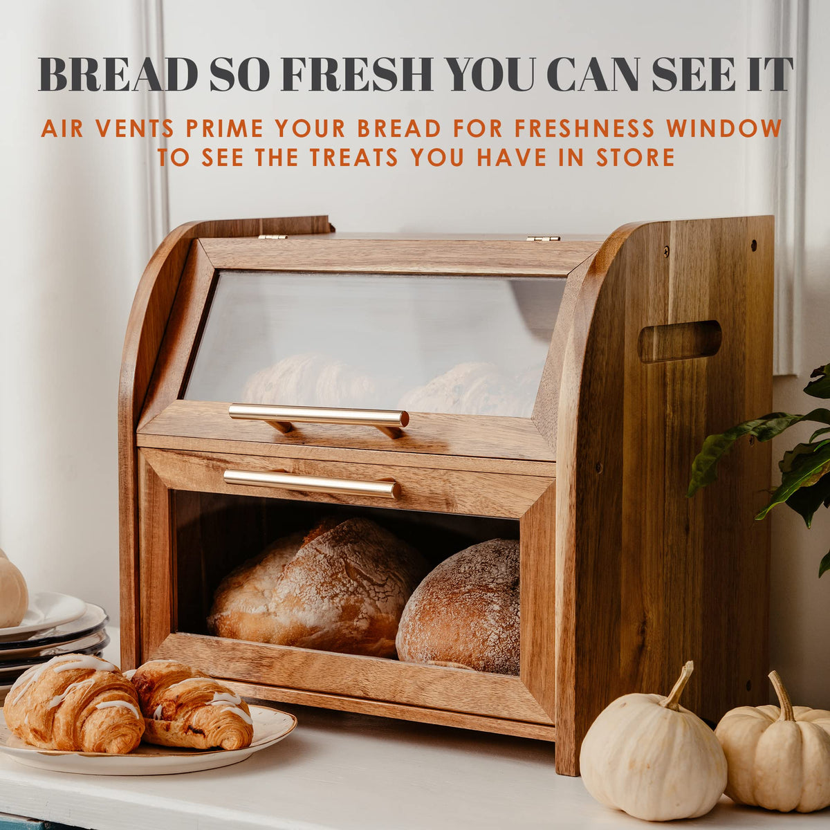 Bread Box - Arise Acacia Wooden Countertop, Extra Large 2-Shelf
