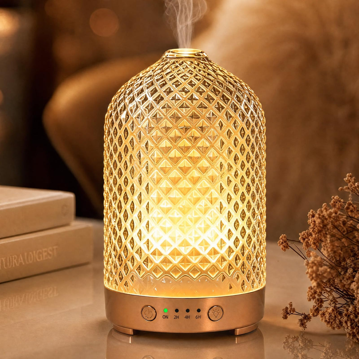 200ml Essential Oil Diffuser 4-in-1 Glsss Diffuser