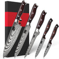 Japanese Chef Knife Set 5 PCS, High Carbon Stainless Steel | Ultra Sharp Kitchen Knives for cooking, Professional