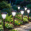 8 Pack Solar Lights Outdoor Pathway, Stainless Steel Glass Solar Garden Lights, Auto On/Off Long-Lasting Waterproof
