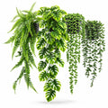 4 Pack Artificial Hanging Plants Indoor - Faux Hanging Wall Plants, String of Pearls, Eucalyptus & Monstera, Fake