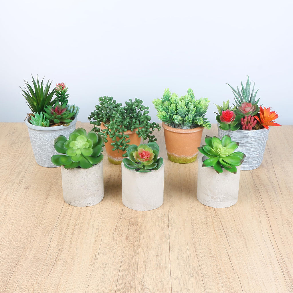19 Pack Artificial Succulents Assorted Plants Fake Succulents Unpotted Hanging Succulent Aloe Vera False Cactus