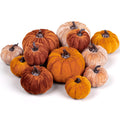 12Pcs Fall Faux Velvet Pumpkins Thanksgiving Harvest Artificial Fake Pumpkin Rustic Assorted Sizes Orange Brown Khaki