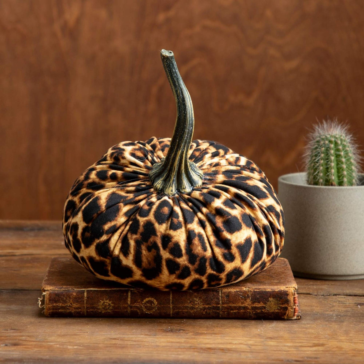 Leopard 6.25 inch Knit Pumpkin (Leopard)