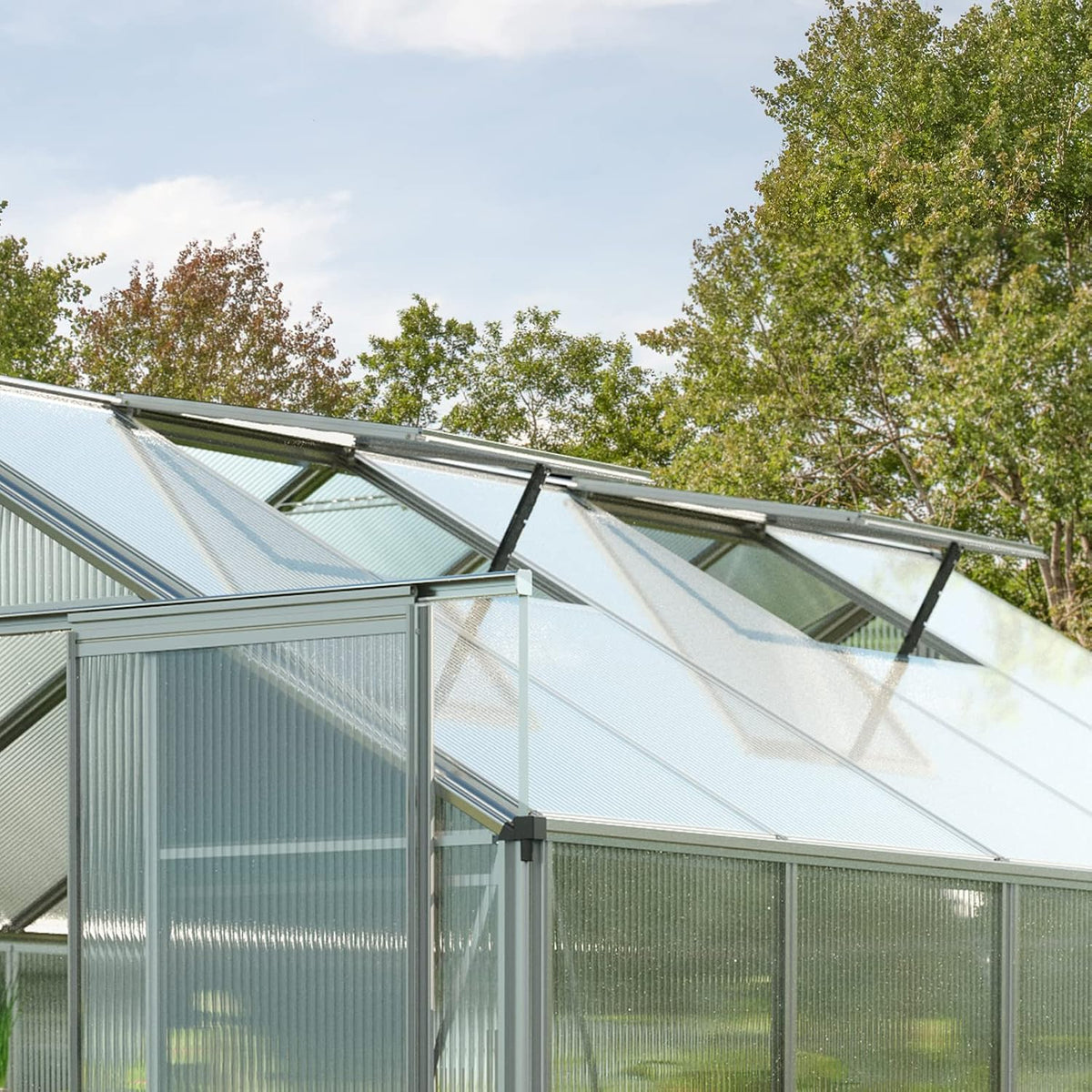 Topas 6 7.4x12.6 ft Walk in Greenhouse, Clear Polycarbonate | Double sliding door, 3 roof vents, twin wall panels