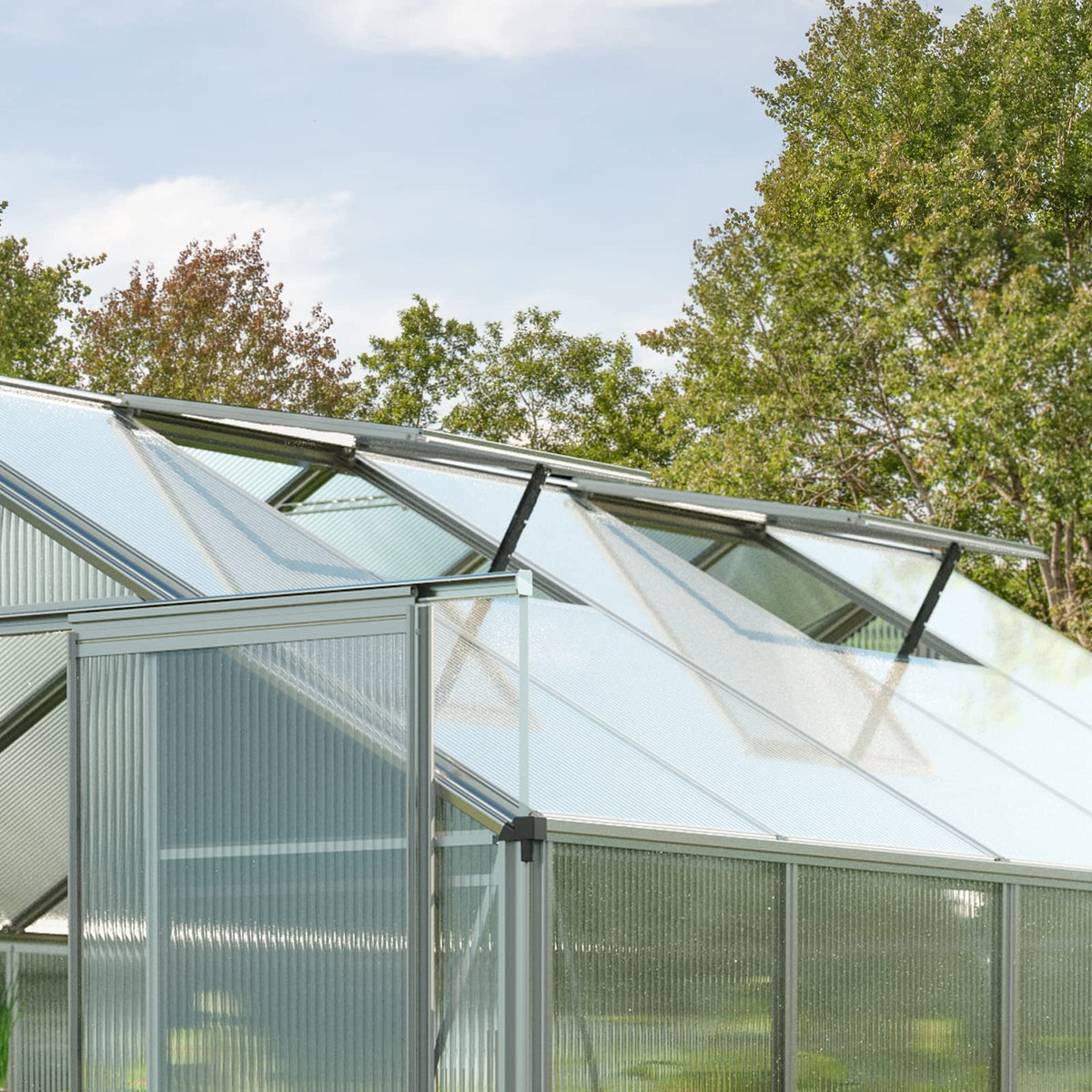 Topas 6 7.4x12.6 ft Walk in Greenhouse, Clear Polycarbonate