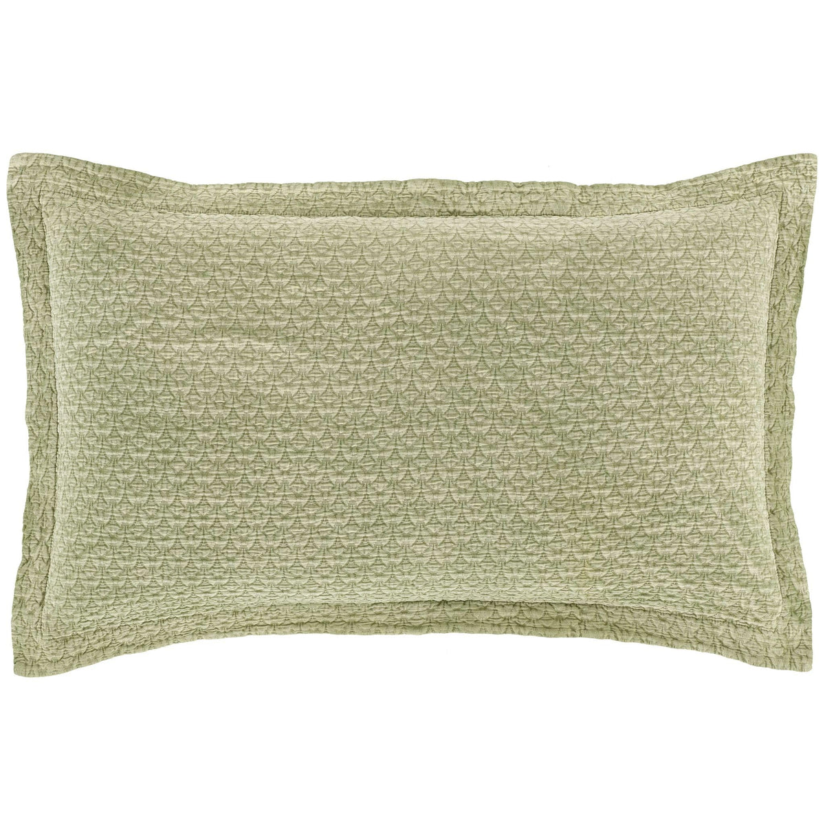 Hawley Sage Solid Cotton Matelasse Sham, Standard