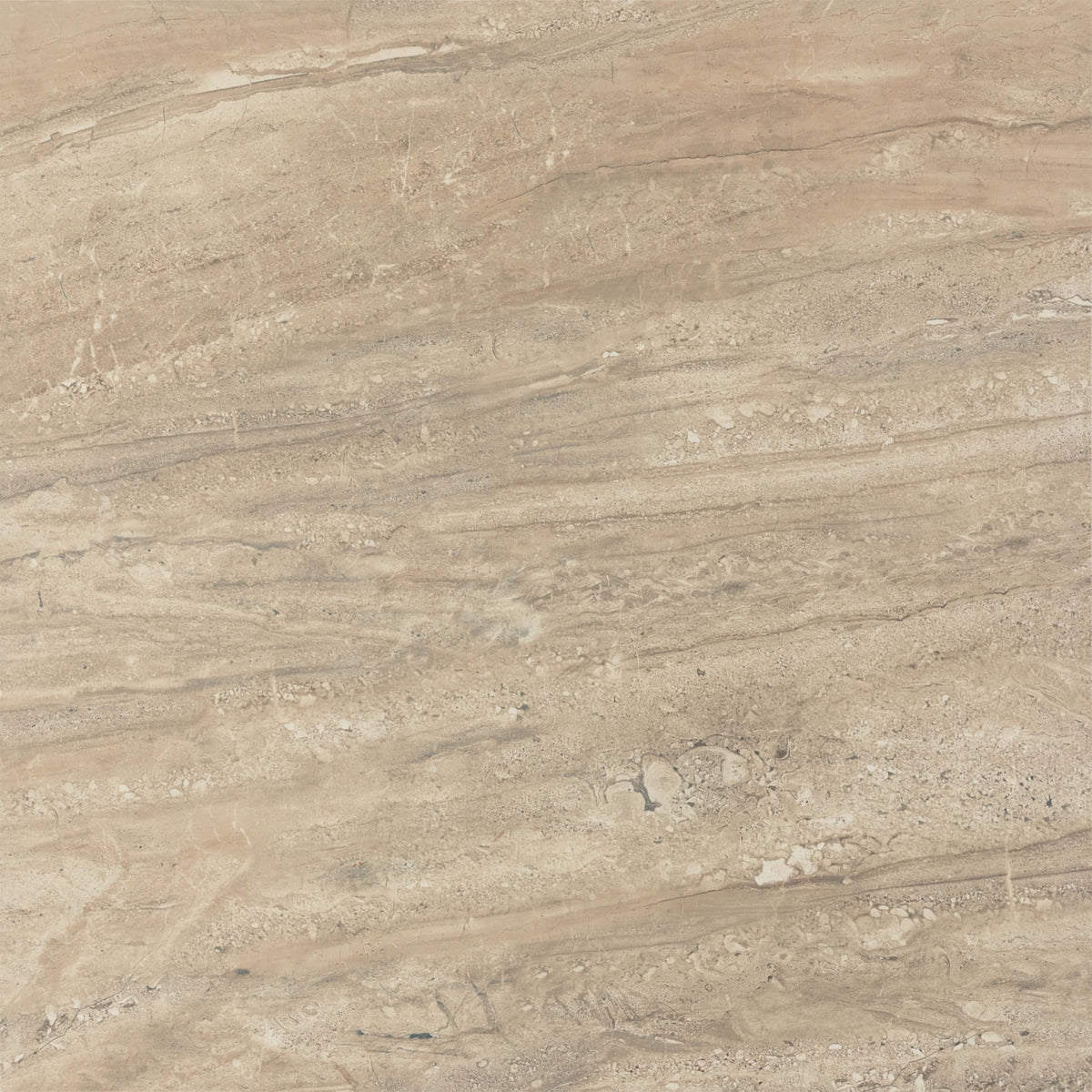 Florentine 24" X 24" Glazed Porcelain Floor Tile in Nociolla (4 PC Per Carton) (15.2 SQFT Per Carton)