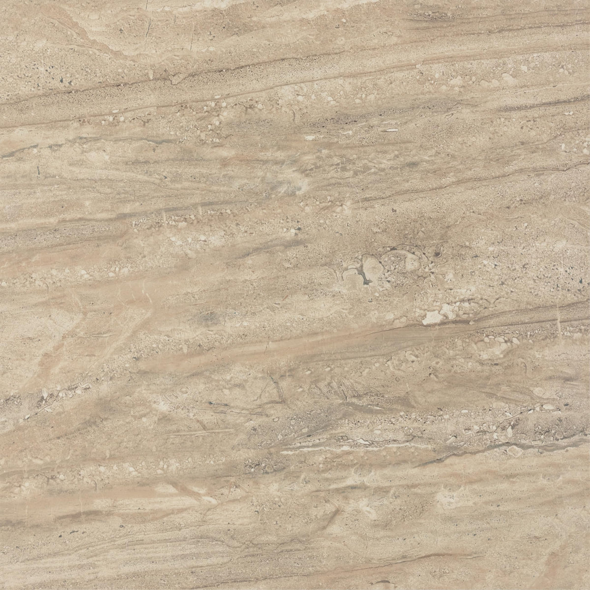 Florentine 24" X 24" Glazed Porcelain Floor Tile in Nociolla (4 PC Per Carton) (15.2 SQFT Per Carton)