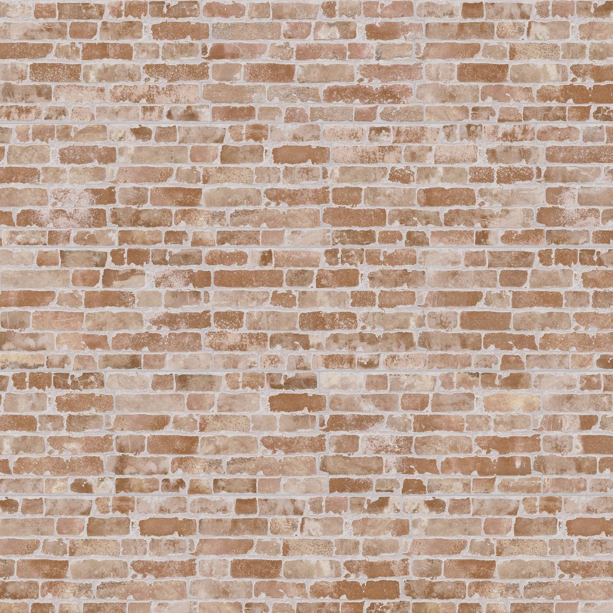 Manhattan Cotto 12-1/4" x 21" Porcelain Wall Tile