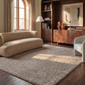 8x10 Beige Shag Area Rug, Non-Shedding Plush Pile for Living Rooms