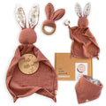 Organic Cotton Newborn Gifts Box, Baby Gifts Unisex incl. Muslin Baby Lovey Comforter (2Pcs) + Baby Bandana Bib Drool