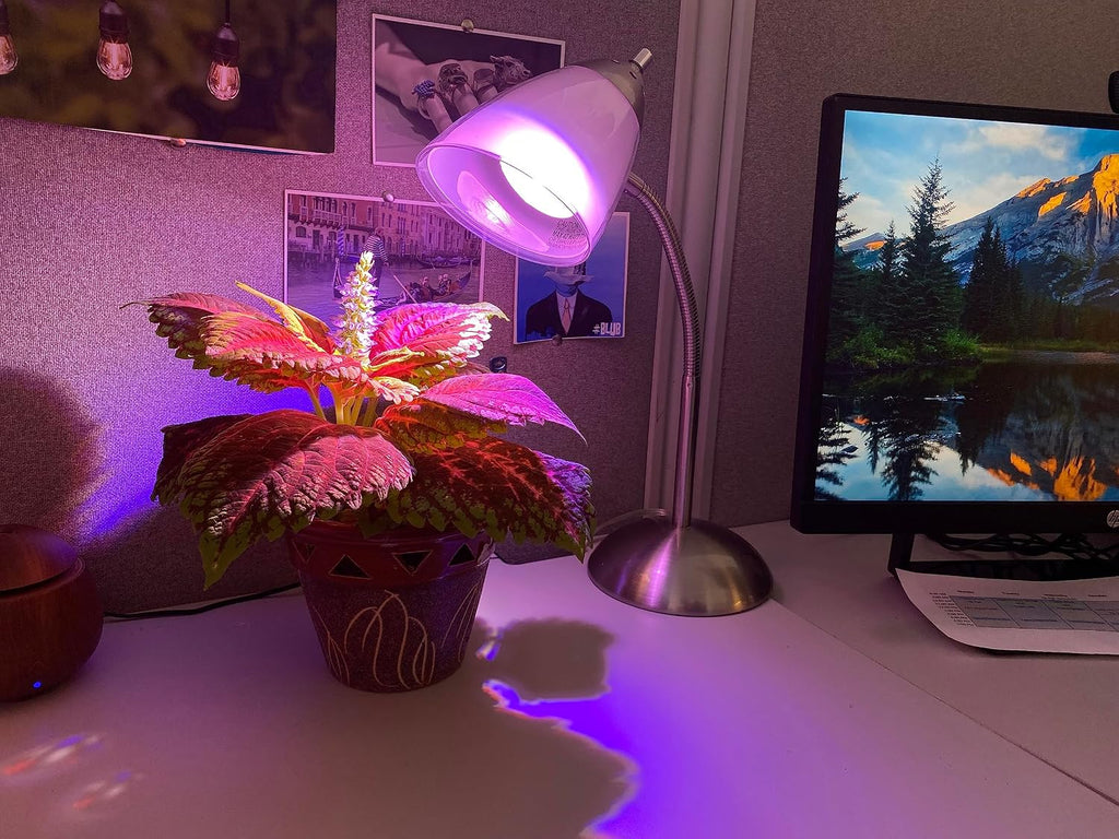 Periwinkle Purple Magic, Craft Lighting Grow Bulb (2-Pack)