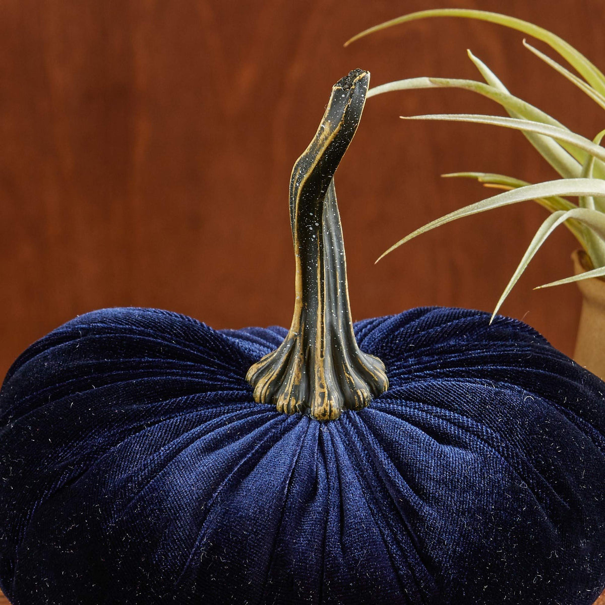 Navy 6.25 inch Velvet Pumpkin (Navy)