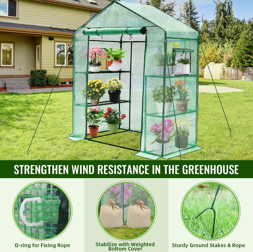 Greenhouse, 28 x 57 x 76'' Walk in Greenhouses for Outdoors Indoor