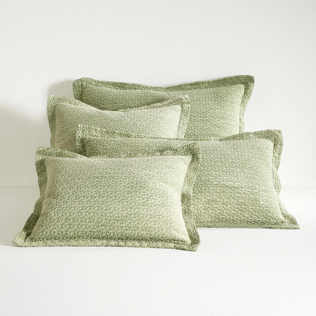 Hawley Sage Solid Cotton Matelasse Sham, Standard