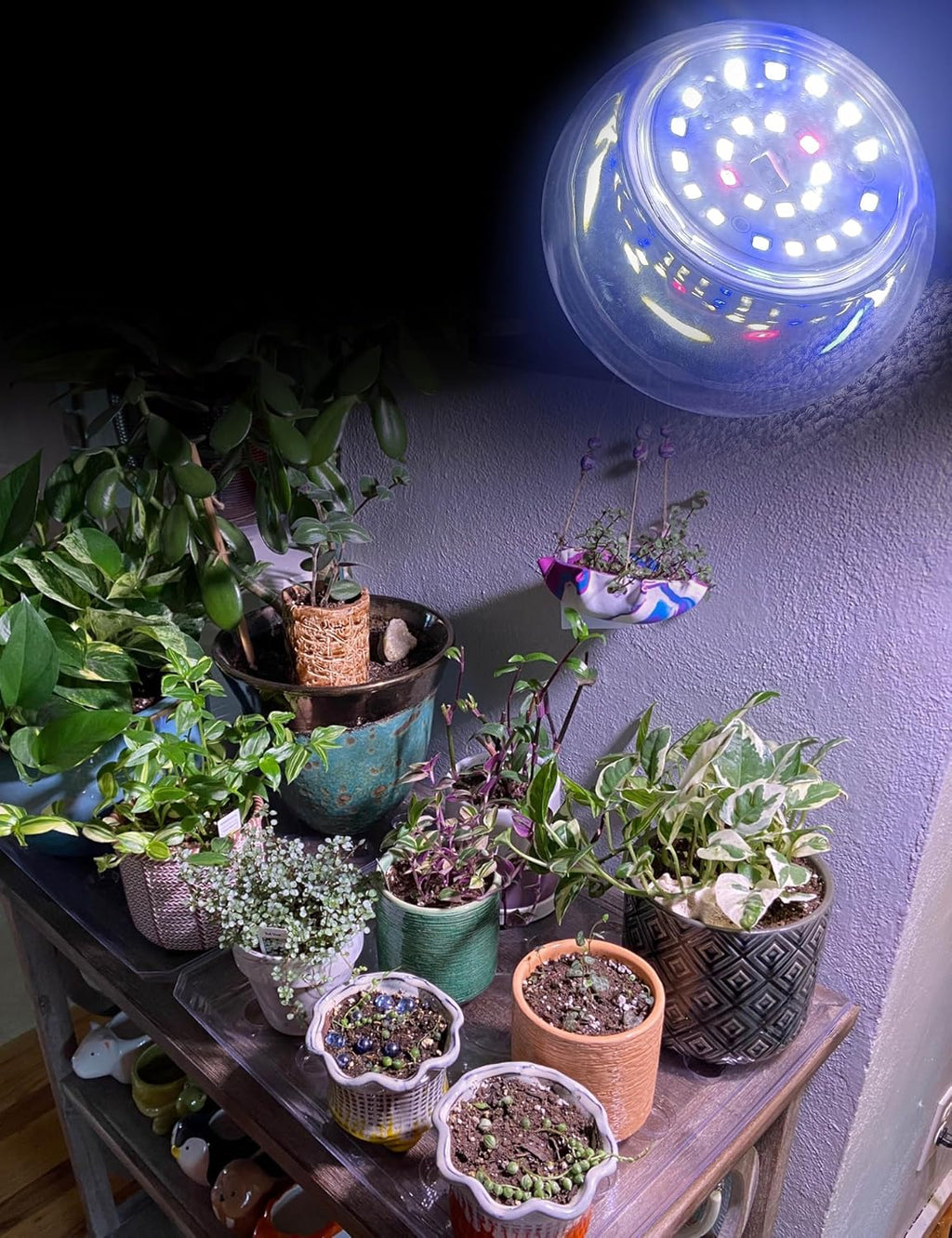 E12 Small Candelabra LED Grow Light Bulbs, Full Spectrum Plant Light Bulb